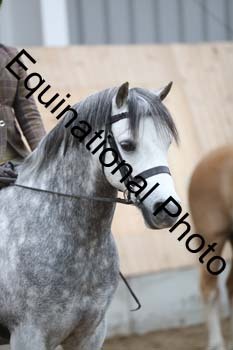 EQU-3129