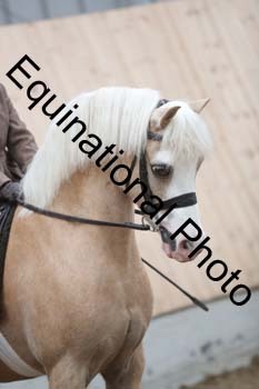 EQU-3134