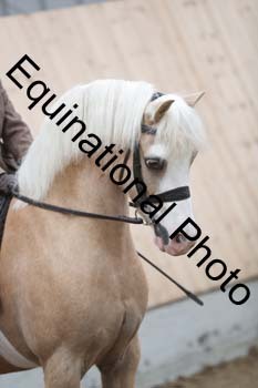 EQU-3135