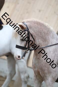 EQU-3149