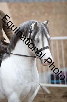 EQU-3161