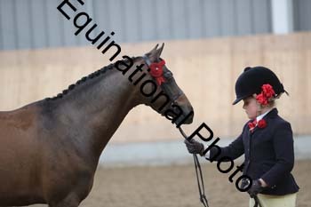EQU-3446