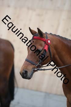 EQU-3478