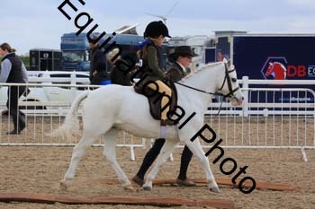 LJJ-1190