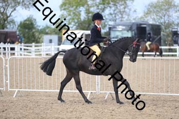 LJJ-1463