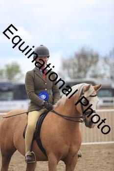 LJJ-1936