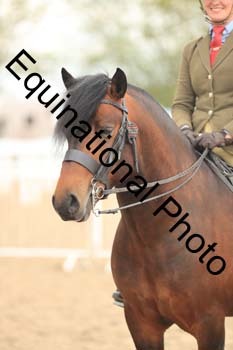 LJJ-2247