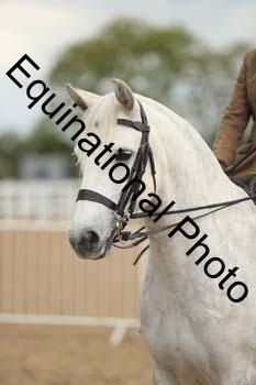 LJJ-2253