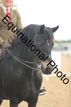 LJJ-2259