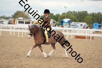 LJJ-2342