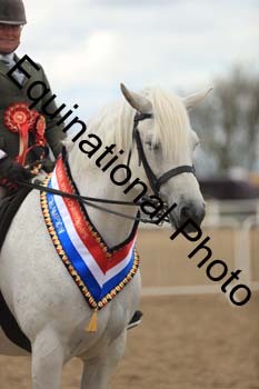 LJJ-2364
