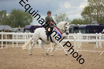LJJ-2387