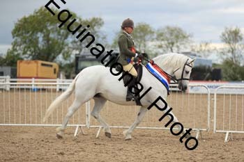 LJJ-2392
