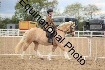 LJJ-2408