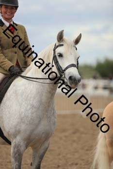 LJJ-2478