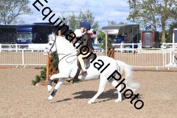 PQA-1078