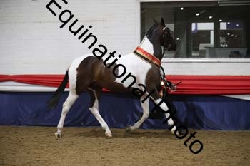 EGG-1005