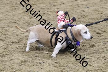 EGG-1187