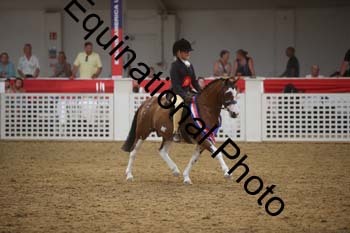 EGG-145