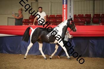 EGG-172