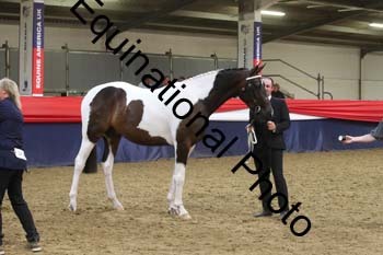 EGG-844