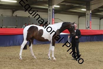 EGG-856