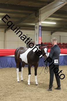 EGG-883