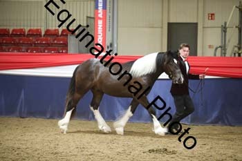 EGG-956