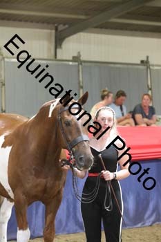 EGG-973