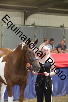 EGG-974