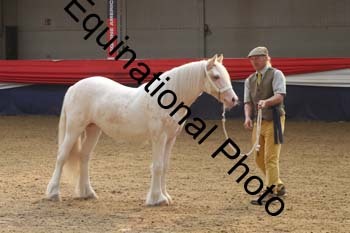 AHC-1077