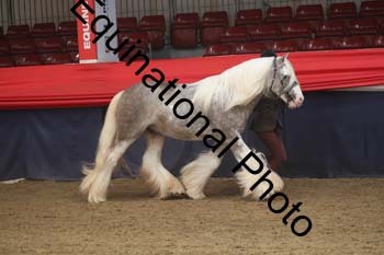 AHC-1097