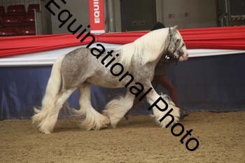 AHC-1099