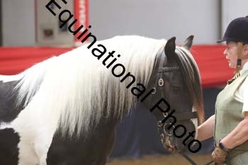 AHC-1137