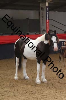 AHC-1141