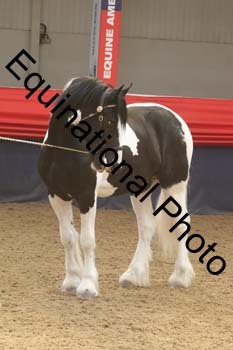AHC-1149