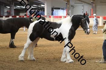 AHC-1158
