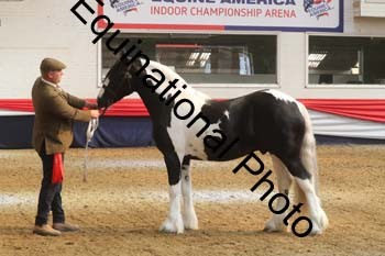 AHC-1165