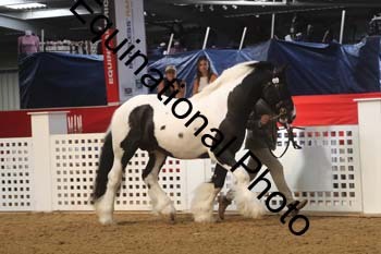 AHC-1197