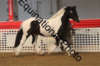 AHC-1198