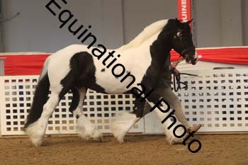 AHC-1199