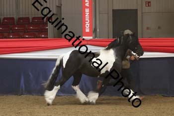 AHC-1201