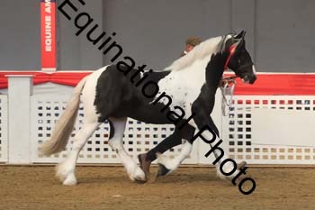 AHC-1209