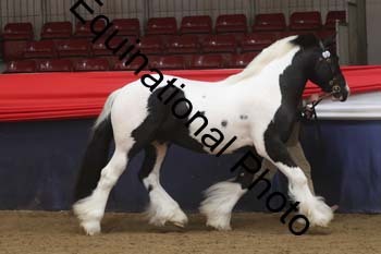 AHC-1222