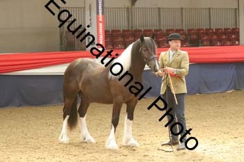 AHC-1250