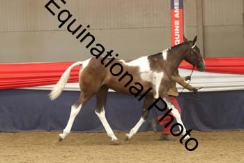 AHC-1278