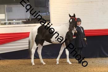 AHC-1296