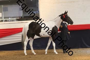 AHC-1297