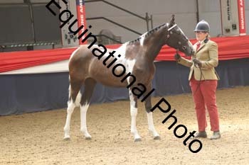 AHC-1308