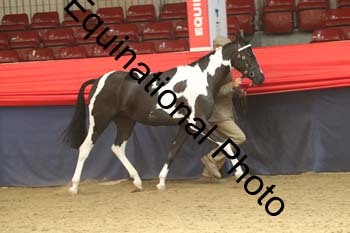AHC-1360